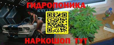 прущие грибы Волжск