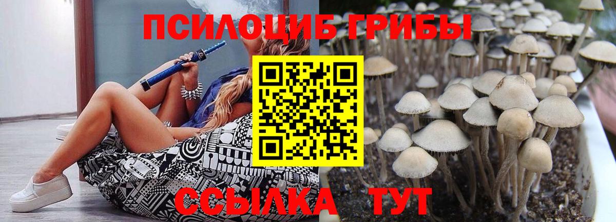 Галлюциногенные грибы Psilocybe  Вход с VPN  Челябинск  Галлюциногенные грибы мухоморы 